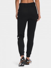 Штаны спортивные The North Face Exploration Fleece модель NF0A5GB9HV21 Фото