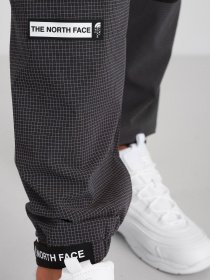 Повседневные штаны The North Face модель NF0A5IBTJK31 Фото