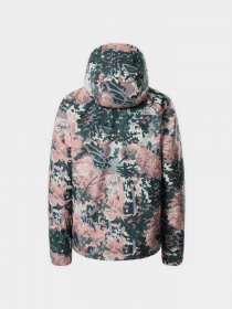 Зимняя куртка The North Face Pinecroft Triclimate модель NF0A4M8I36F1 Фото