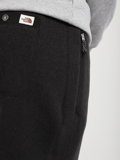 Штани повсякденні The North Face Gordon Lyons модель NF0A5A7XKS71 — фото 4 - INTERTOP