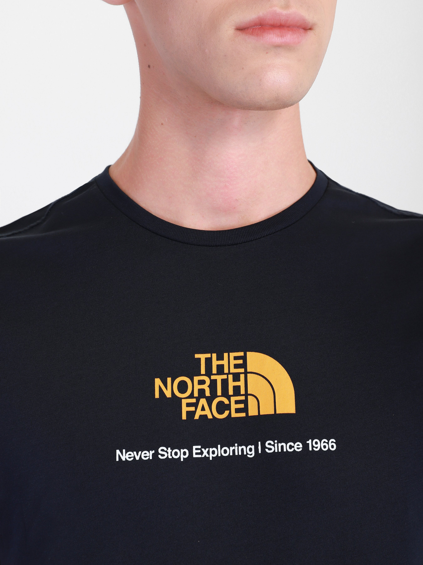 Футболки і поло The North Face New Climb модель NF0A55GURG11 Фото