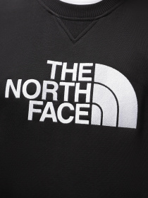 Свитшот The North Face Drew Peak Crew Neck модель NF0A4SVRKY41 Фото