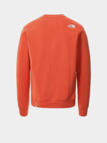 Свитшот The North Face Drew Peak Crew Neck модель NF0A4SVREMJ1 Фото