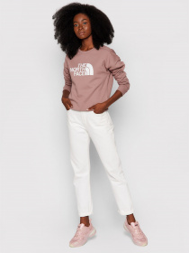 Свитшот The North Face Drew Peak модель NF0A3S4G0TA1 Фото