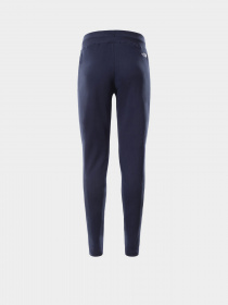 Штаны спортивные The North Face Nse модель NF0A55GSH2G1 Фото