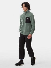 Кофта The North Face Homesafe Full-Zip Fleece модель NF0A55HLV1T1 Фото