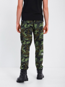 Штаны спортивные The North Face Nse Outdoor модель NF0A4SVQ2871 Фото