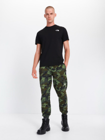 Штаны спортивные The North Face Nse Outdoor модель NF0A4SVQ2871 Фото