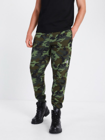 Штаны спортивные The North Face Nse Outdoor модель NF0A4SVQ2871 Фото