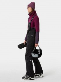 Комбінезон з утеплювачем The North Face Freedom Bib модель NF0A5GM4JK31 Фото