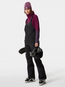 Комбінезон з утеплювачем The North Face Freedom Bib модель NF0A5GM4JK31 Фото