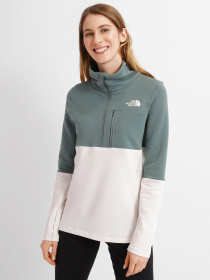 Кофта The North Face Tagen 1/4 Zip Fleece модель NF0A5ADD1101 Фото