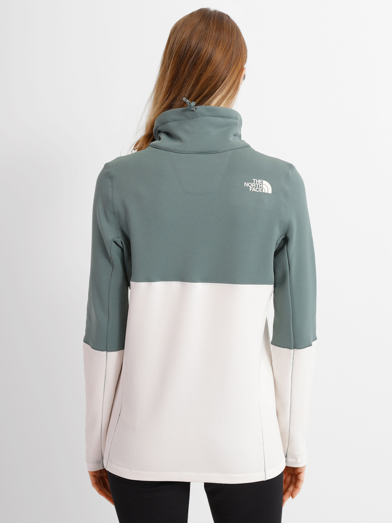 Кофта The North Face Tagen 1/4 Zip Fleece модель NF0A5ADD1101 Фото