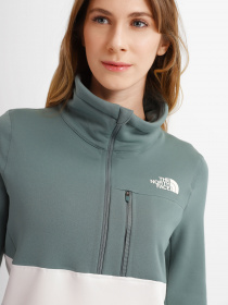 Кофта The North Face Tagen 1/4 Zip Fleece модель NF0A5ADD1101 Фото