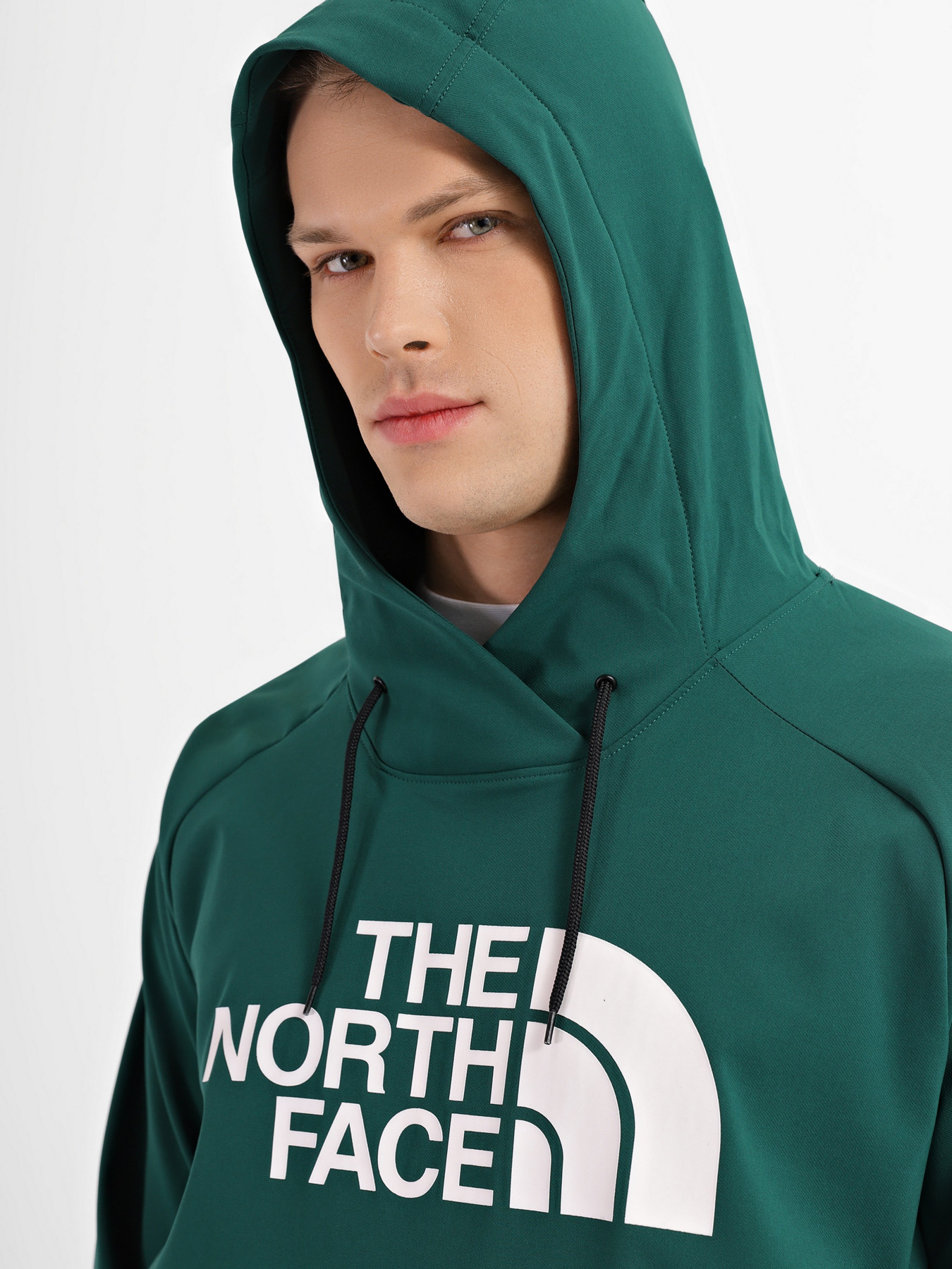 Худи The North Face Tekno Logo модель NF0A3M4EN3P1 Фото