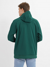 Худи The North Face Tekno Logo модель NF0A3M4EN3P1 Фото