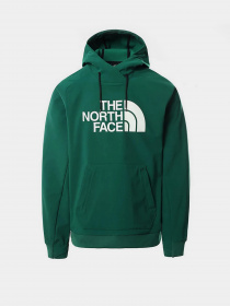 Худи The North Face Tekno Logo модель NF0A3M4EN3P1 Фото