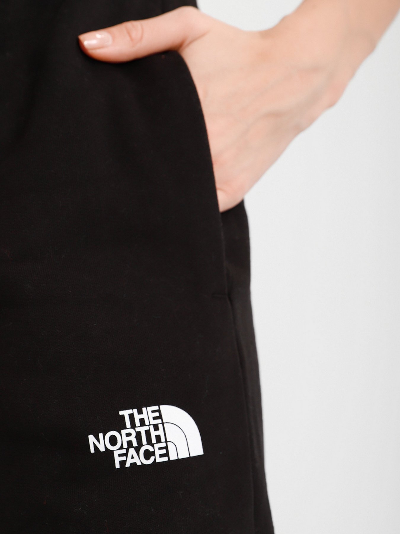 Штаны спортивные The North Face Expedition Graphic Pant модель NF0A5ICSJK31 Штаны спортивные The North Face Expedition Graphic Pant модель NF0A5ICSJK31 Фото