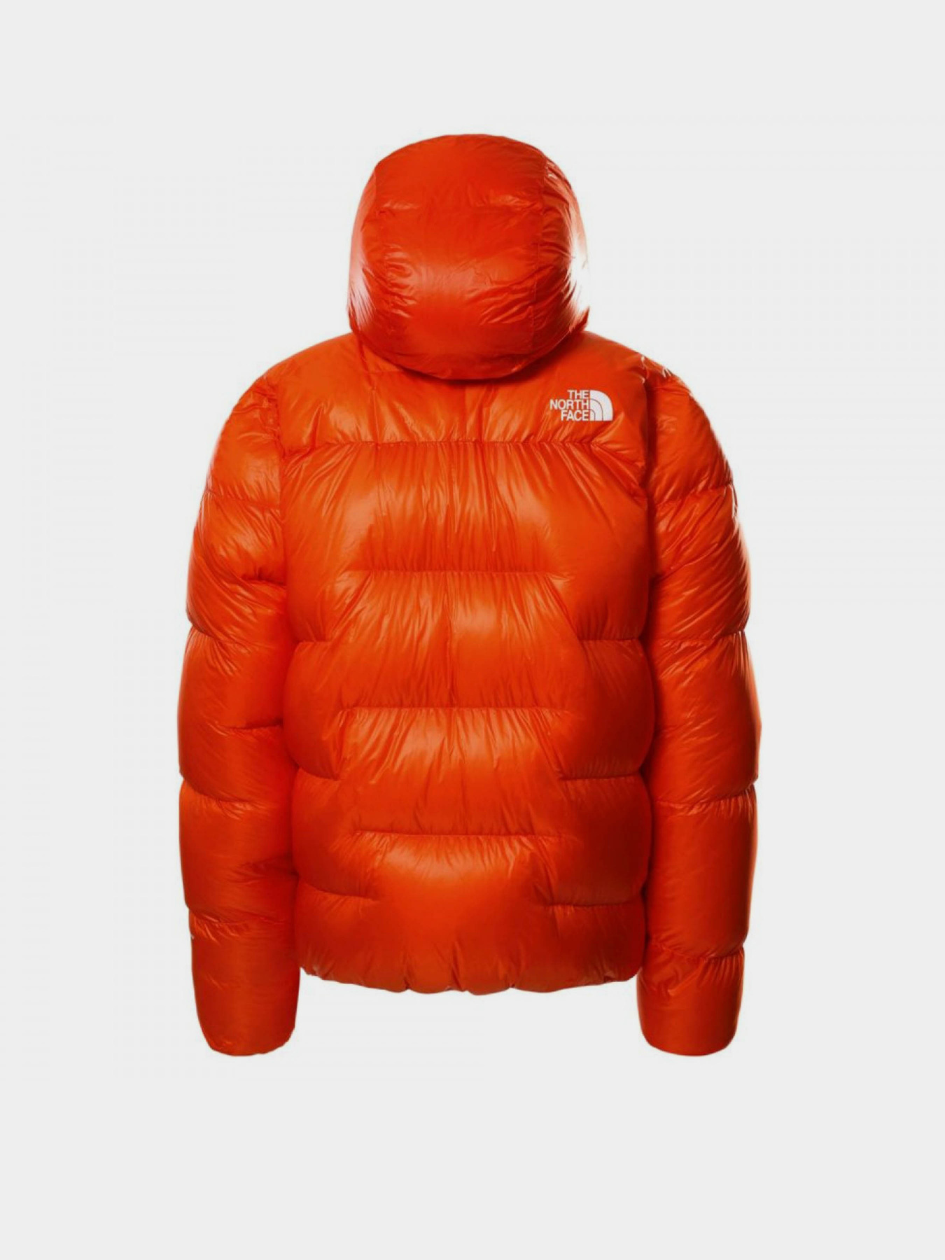 Зимова куртка The North Face Summit L6 Cloud Down модель NF0A5ABGA6M1 Фото