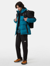 Кофта The North Face Glacier Pro 1/4 Zip модель NF0A5IHR2811 Фото