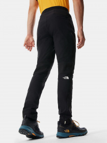 Лыжные штаны The North Face Speedtour модель NF0A4M9HKX71 Фото