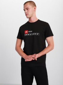 Футболка The North Face Never Stop Exploring модель NF0A7ZCCJK31 Фото