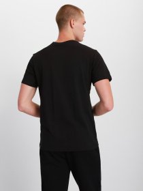 Футболка The North Face Never Stop Exploring модель NF0A7ZCCJK31 Фото