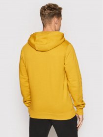 Худі The North Face  Drew Peak модель NF00AHJYH9D1 Фото