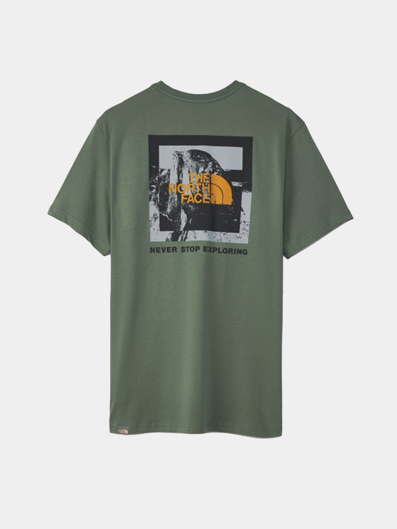 Футболки и поло The North Face New Climb модель NF0A55GUV1T1 Фото