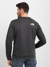 Свитшот The North Face Mountain Athletics модель NF0A5IBX0C51 Фото