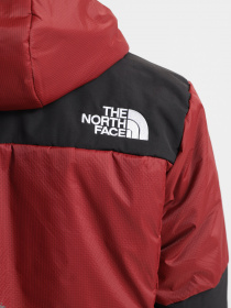 Зимняя куртка The North Face Himalayan Light Synth Hoodie модель NF0A3L2GBDQ1 Фото