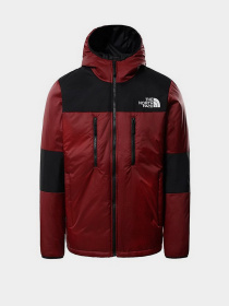 Зимняя куртка The North Face Himalayan Light Synth Hoodie модель NF0A3L2GBDQ1 Фото
