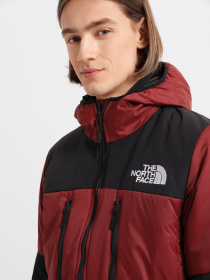 Зимова куртка The North Face Himalayan Light Synth Hoodie модель NF0A3L2GBDQ1 Фото