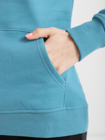 Худи The North Face Standard модель NF0A4M7C4Y31 Фото