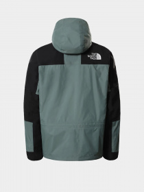 Демисезонная куртка The North Face модель NF0A52ZTHBS1 Фото