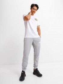 Штаны спортивные The North Face Mountain Joggebuks Herre модель NF0A5IETGAU1 Фото