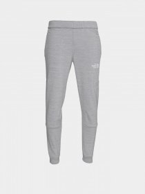 Штаны спортивные The North Face Mountain Joggebuks Herre модель NF0A5IETGAU1 Фото