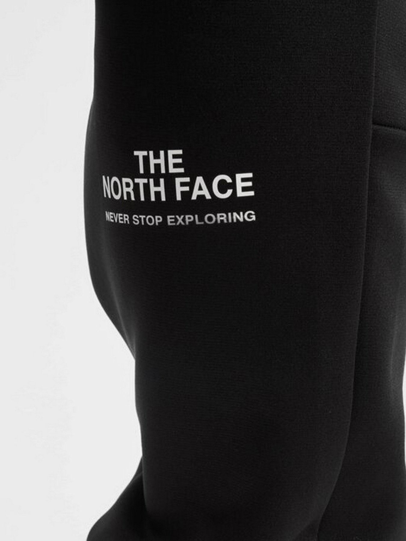 Спортивні штани The North Face Mountain Herre модель NF0A5IETKX71 Фото