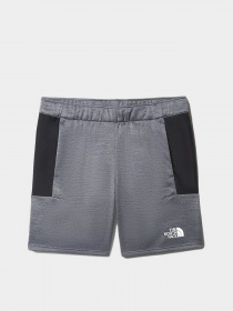 Шорты The North Face Ma Fleece модель NF0A5IEXGAU1 Фото