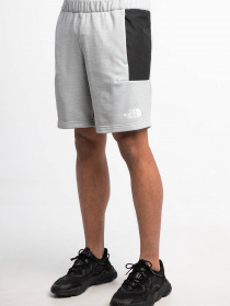 Шорты The North Face Ma Fleece модель NF0A5IEXGAU1 Фото