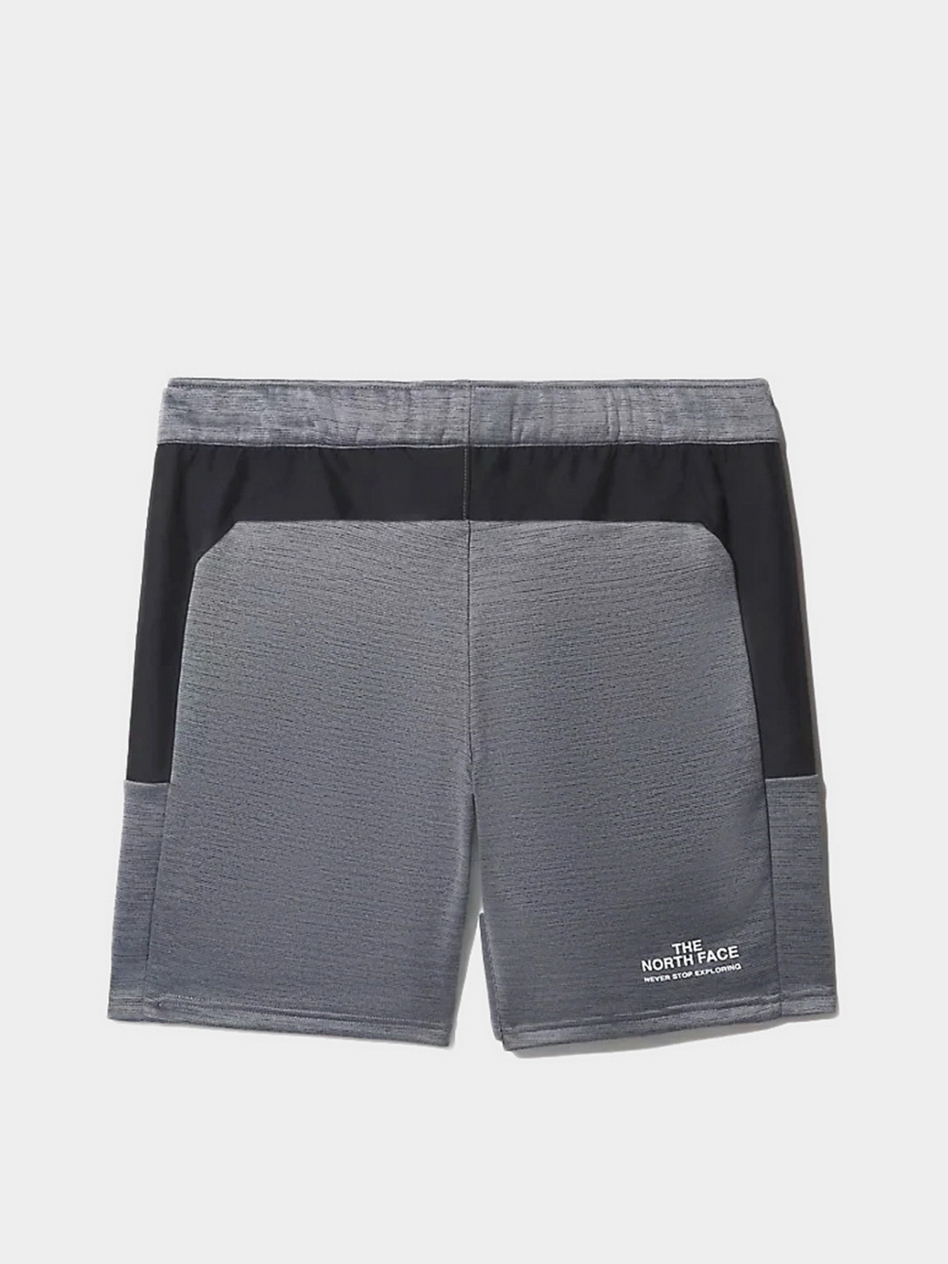 Повсякденні шорти The North Face Ma Fleece модель NF0A5IEXGAU1 Повсякденні шорти The North Face Ma Fleece модель NF0A5IEXGAU1 Фото