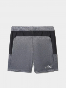 Повсякденні шорти The North Face Ma Fleece модель NF0A5IEXGAU1 Повсякденні шорти The North Face Ma Fleece модель NF0A5IEXGAU1 Фото