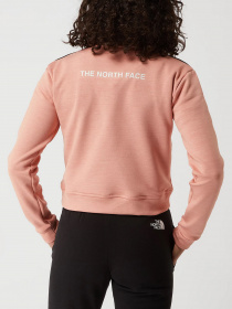 Кофта The North Face Ma 1/4 Zip Fleece модель NF0A5IEZ5W21 Кофта The North Face Ma 1/4 Zip Fleece модель NF0A5IEZ5W21 Фото