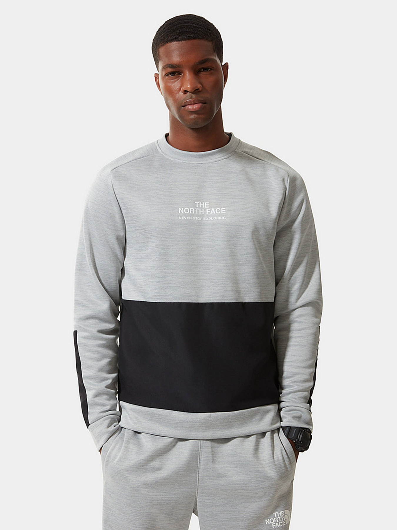 Кофта The North Face Ma Crew модель NF0A5IERGAU1 Фото