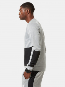 Кофта The North Face Ma Crew модель NF0A5IERGAU1 Фото