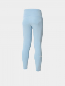 Леггинсы спортивные The North Face New Flex High 7/8 модель NF0A4AR43R31 Фото