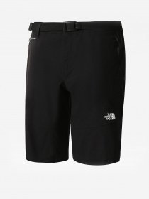 Шорты The North Face Lightning модель NF0A495OJK31 Фото