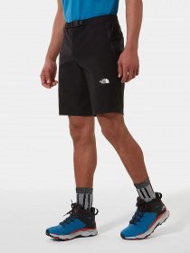 Шорты The North Face Lightning модель NF0A495OJK31 Фото