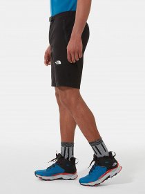 Повсякденні шорти The North Face Lightning модель NF0A495OJK31 Фото