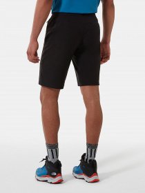 Повсякденні шорти The North Face Lightning модель NF0A495OJK31 Фото